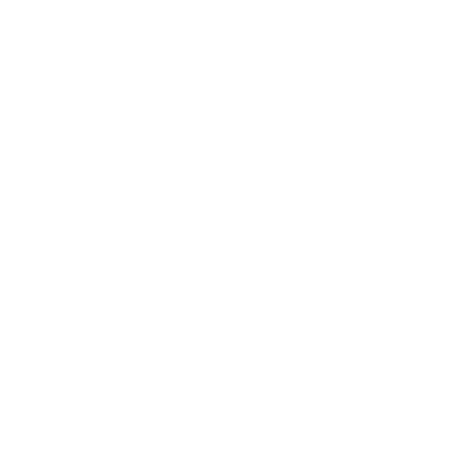 Logo F&L Dr.-Ing. Christian Guist